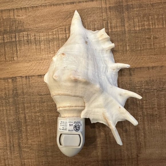 Real Spider Conch Seashell Nightlight. Such a Beautiful glow at night. NWOT - Picture 2 of 10